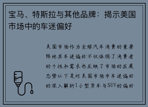 宝马、特斯拉与其他品牌：揭示美国市场中的车迷偏好